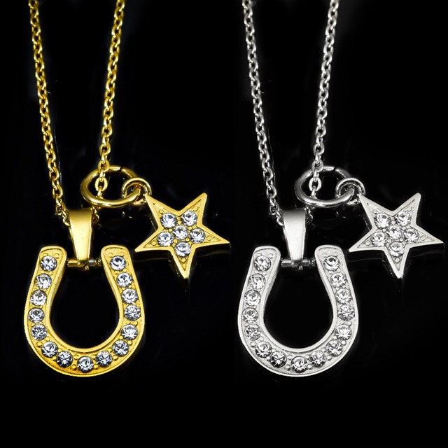 316L Horseshoe × Star necklace