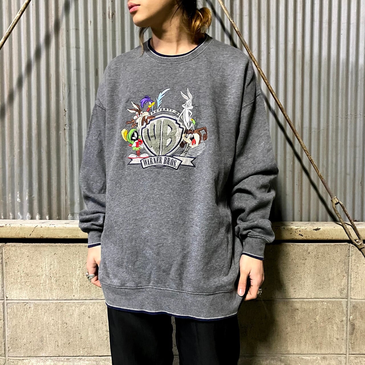 LOONEY TUNES ルーニーテューンズ 刺繍 キャラクターデザインスウェット メンズXXL レディース 古着 ビッグサイズ WARNER  BROS ワーナー トレーナー ダークグレー【スウェット】 | cave 古着屋【公式】古着通販サイト powered by BASE