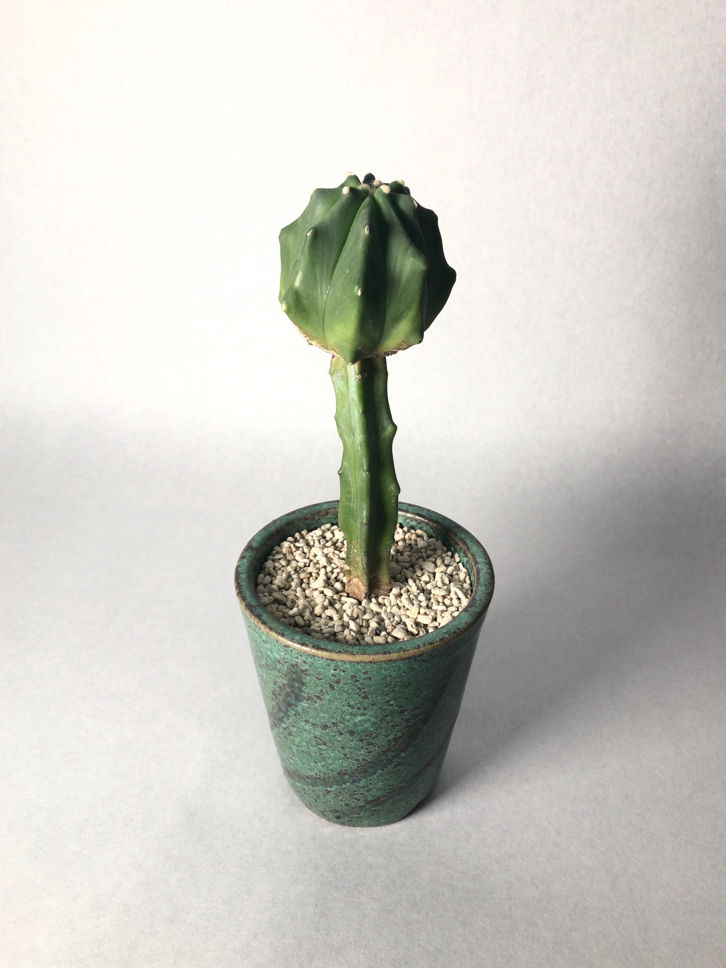 b48714878533484f3fa37ef2a2f868