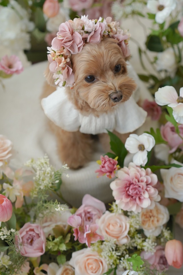 〈 即納アイテム 〉Drops Flora Crown pink