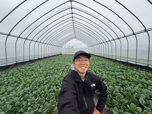 信州のお野菜 小松菜｜農薬・化学肥料不使用の詰め合わせ