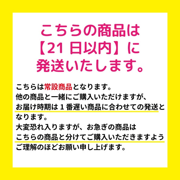 シーガルズ卓上カレンダー2026 | ニッパツ横浜FCシーガルズ公式