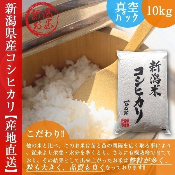 真空パック　新潟コシヒカリ　令和2年産　こしひかり　長期保存　10kg（5kg×2）送料無料　白米　新米　新潟のおいしいお米屋さん