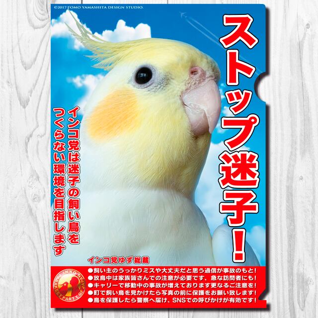 A4クリアファイル インコ党 「ストップ迷子」 | TOMOYAMASHITA DESIGN