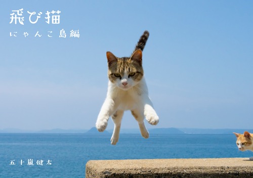 写真集「飛び猫・にゃんこ島編」（送料無料）