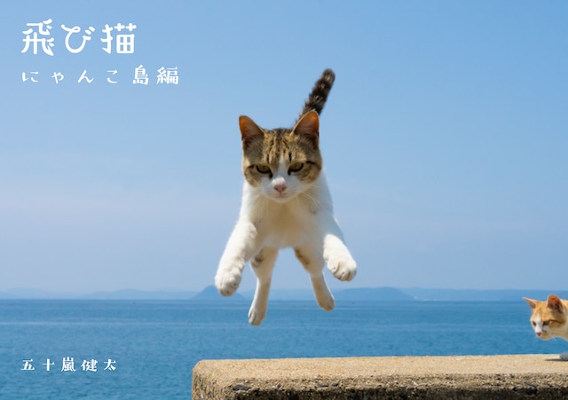 「瀬戸内海の猫が教えてくれた、だらりのらりと生きる術」DVD付き写真集