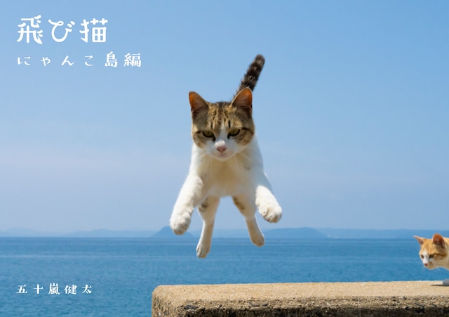 新作写真集「飛び猫・にゃんこ島編」＆「どら猫」写真集セット（送料無料）