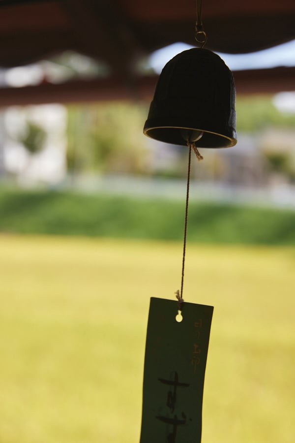 新米！5分づき 5kg｜冷めても美味しい：奈良米ヒノヒカリ(2025年 令和7