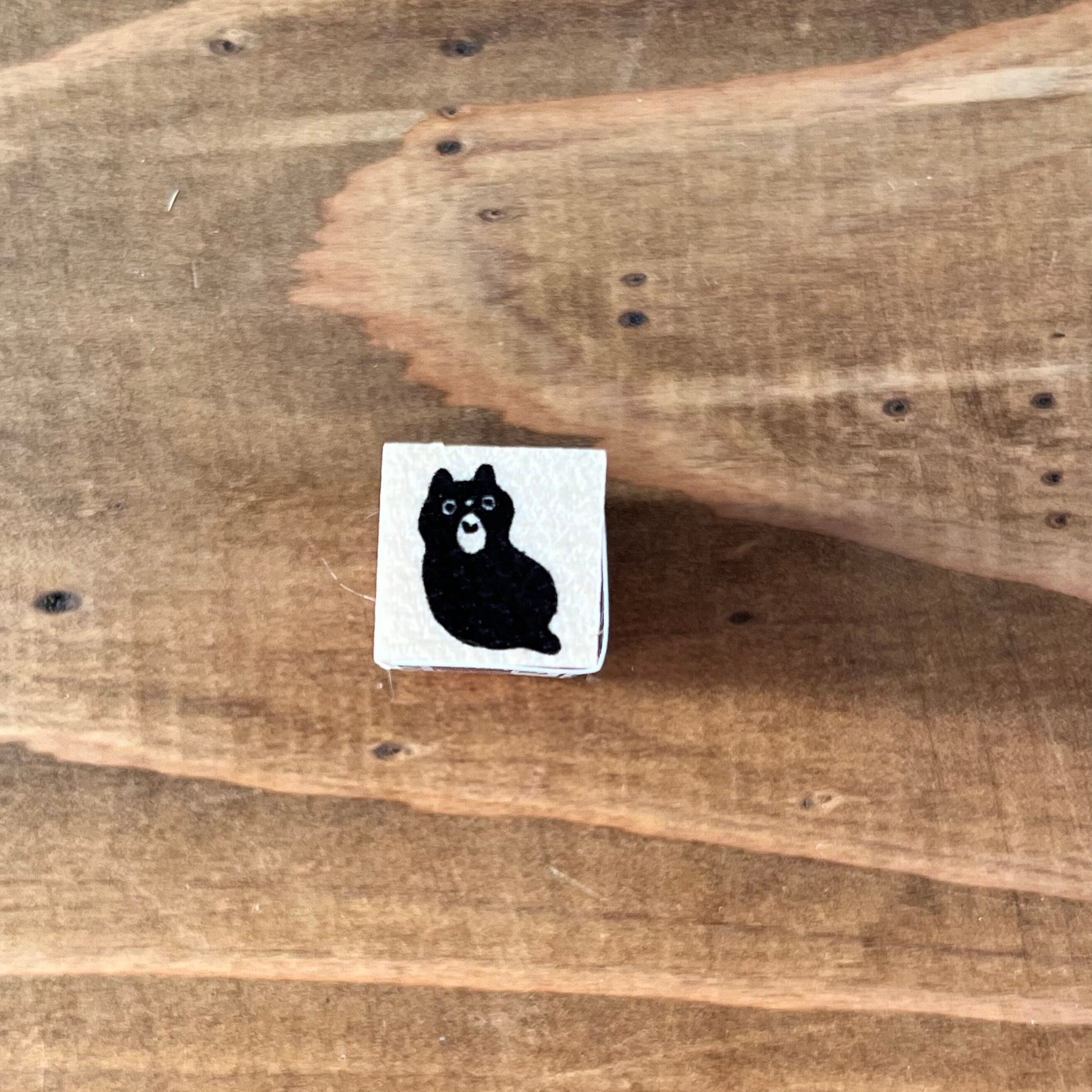 しっぽが短い猫