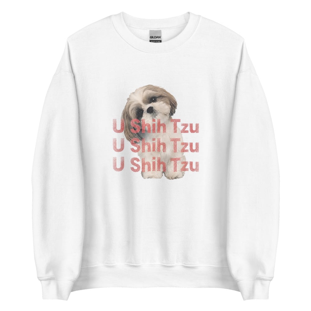 What Shih Tzu Sweat Red U0128