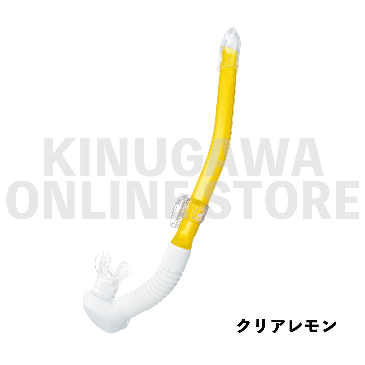 レイラステイブル GULL ガル ダイビングスノーケル