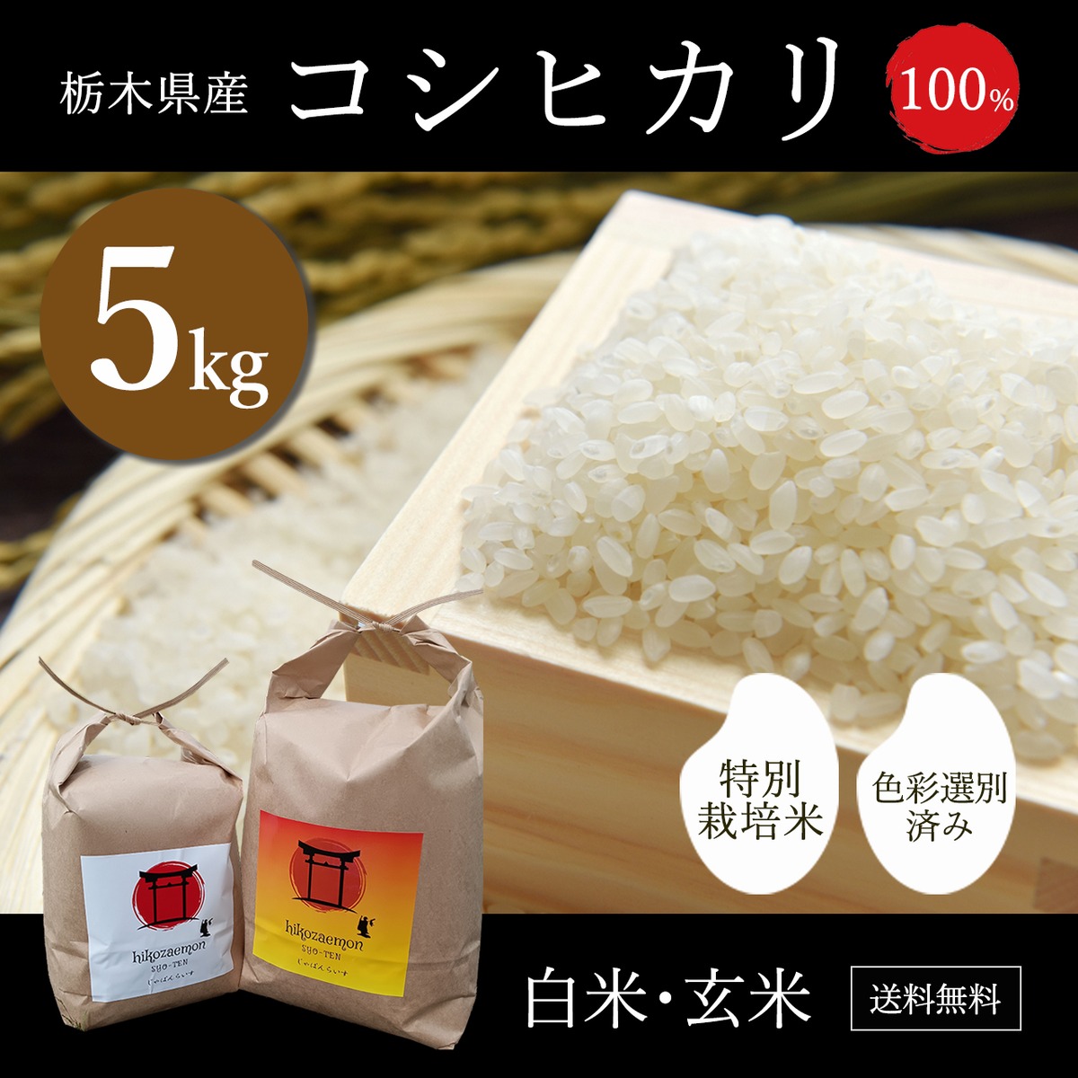 栃木県産 コシヒカリ 令和7年度産 5kg | 米問屋 彦左衛門商店