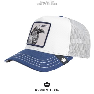 Goorin Bros. Tricolor Raven MULTI COLOR