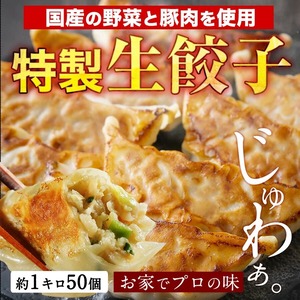 ちょっと大きめ国産生餃子　50個