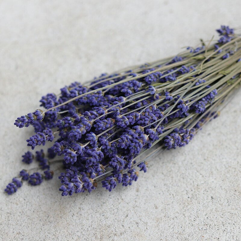 ラベンダードライフラワーおかむらさき300本➕α