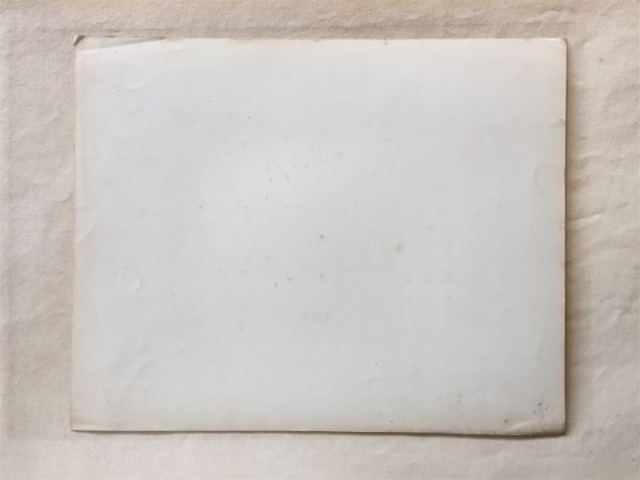 19世紀 France 魔術的色彩と装飾図版l フランス アンティーク