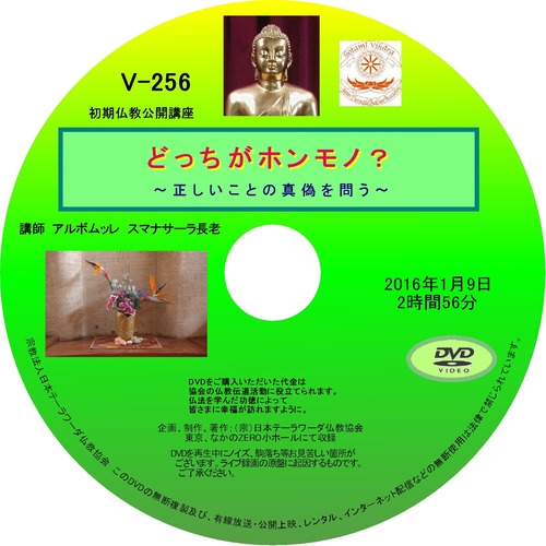【DVD】V-256「どっちがホンモノ？」～正しいことの真偽を問う～初期仏教法話
