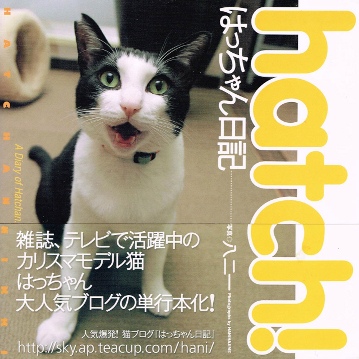はっちゃん日記 （単行本）（帯付き） | 猫本サロン 京都三条サクラヤ