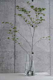 FLOWER VASE -L- 枝物・長物用花器 / W110×H350×D110