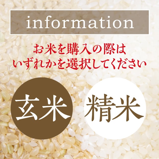 玄米30kg・白米27kg | しまだファーム｜滋賀のおいしいお米を直販・お