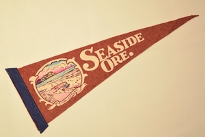 USED Vintage Pennants Seaside OREGON 01029