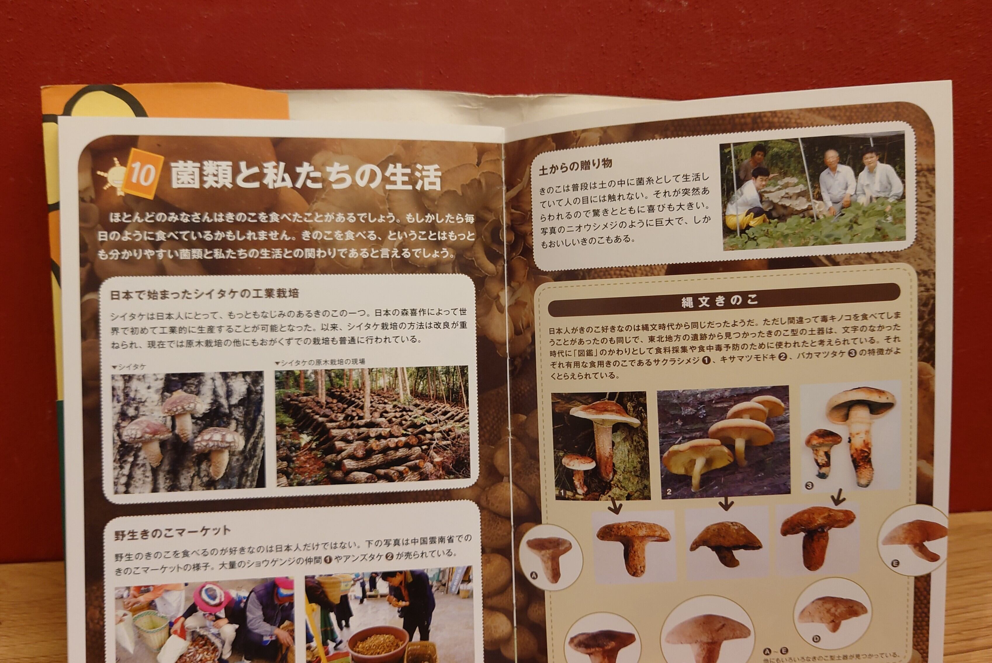 特別展 菌類のふしぎ（きのことカビと仲間たち）オフィシャルガイド