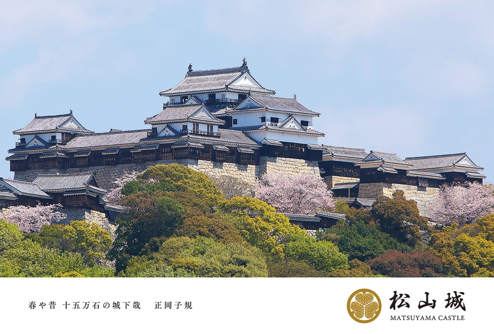 春やむかし｜桜花の松山城 | マツヤマ・ワンコインアート・プロジェクト