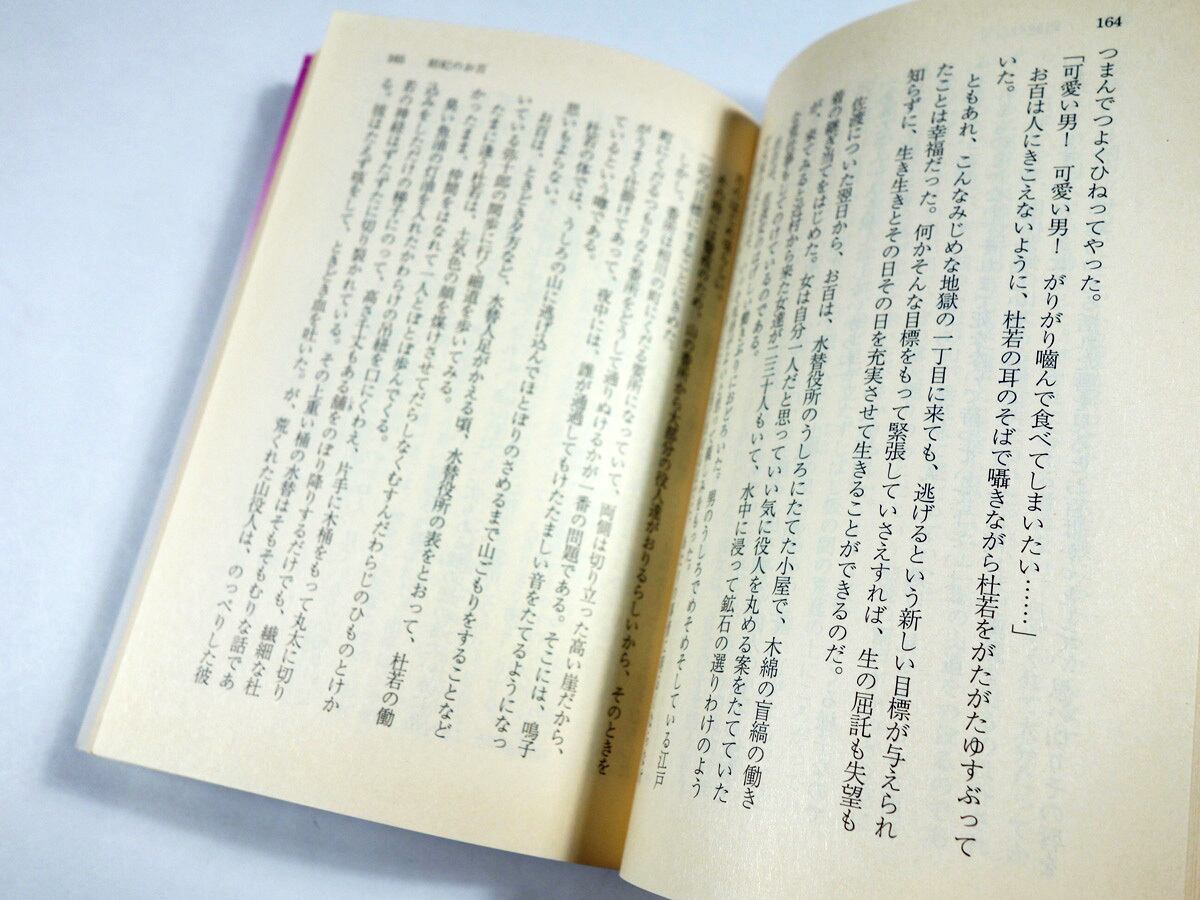 平林たい子 毒婦小説集（平林たい子 著） | bookstore ナルダ