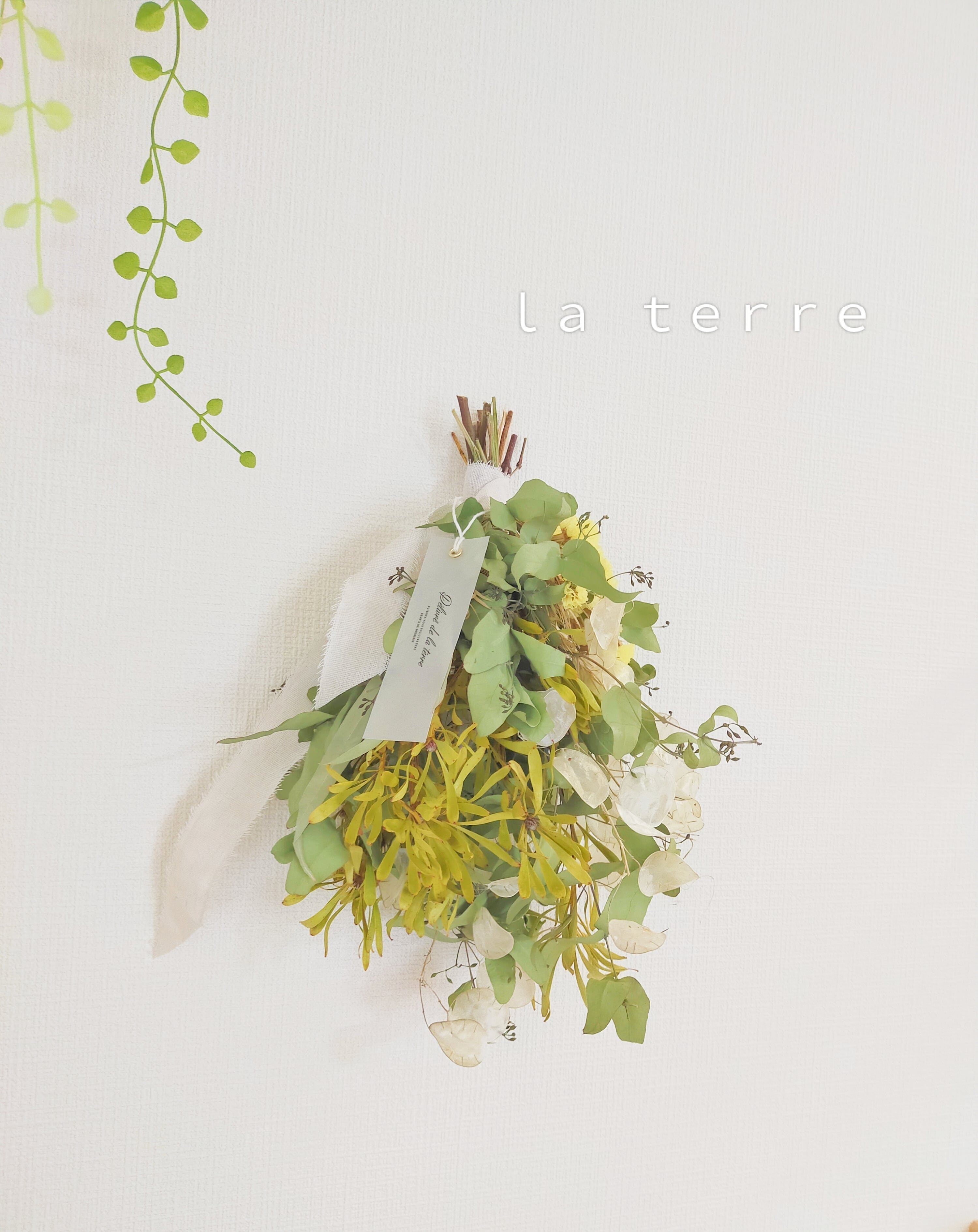 to early summer ユーカリとルナリアのスワッグ 41cm | La terre 