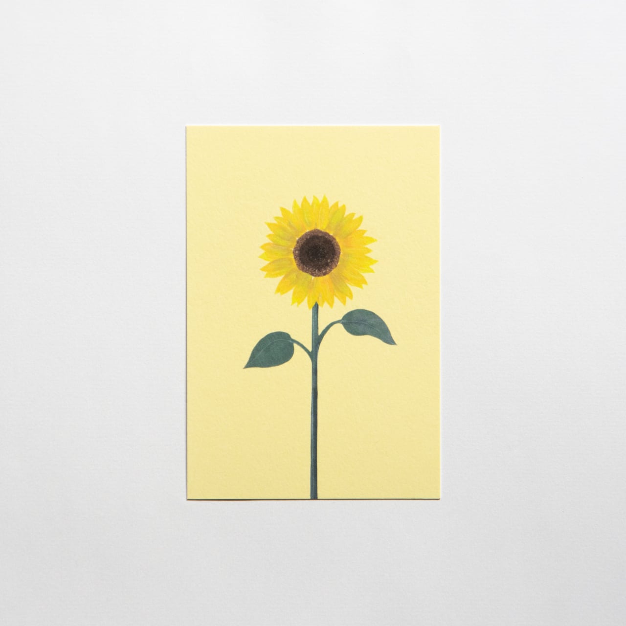 バラ売り】オリジナルポストカード －季節の花 － | ノカテ