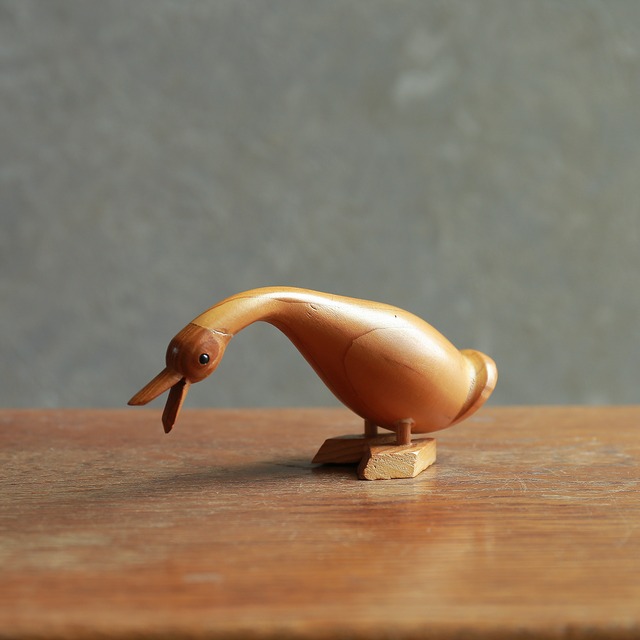 下をのぞきこむ水鳥 1