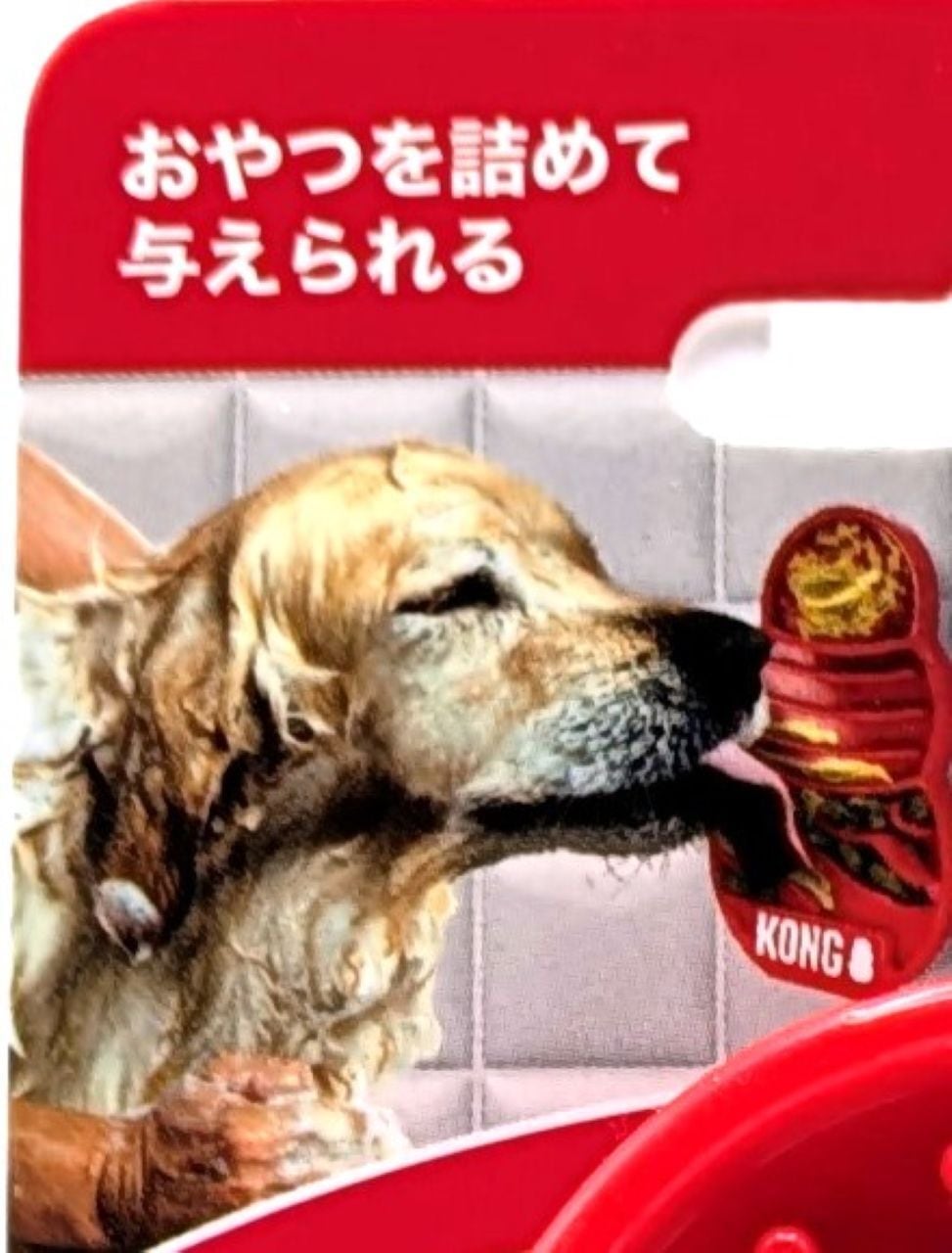 コングリックスS