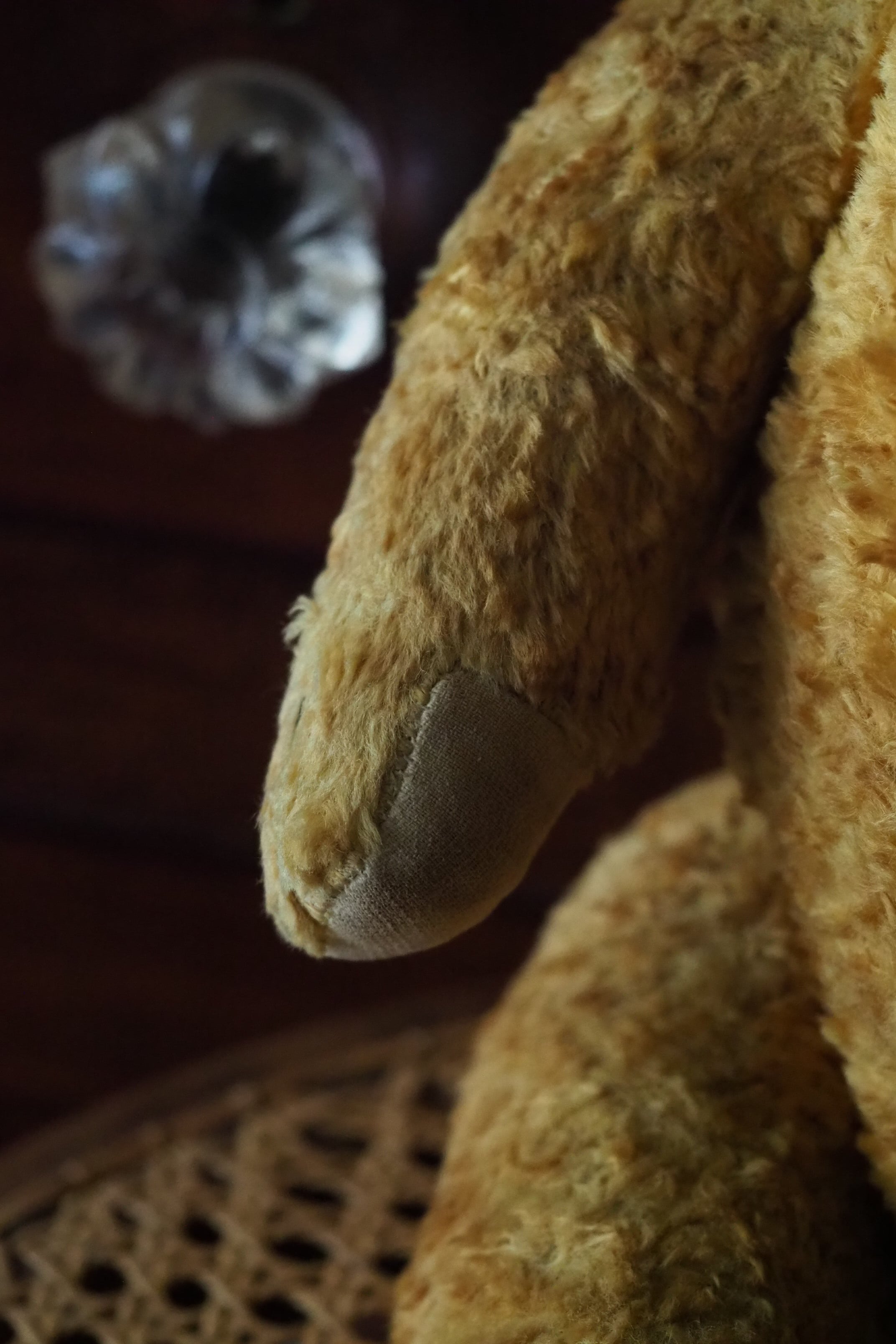 お腹ぽんぽこりんクマさん-vintage teddy bear | アンティーク