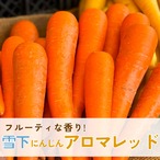 フルーティーな香り！雪下にんじんアロマレッド（3㎏）