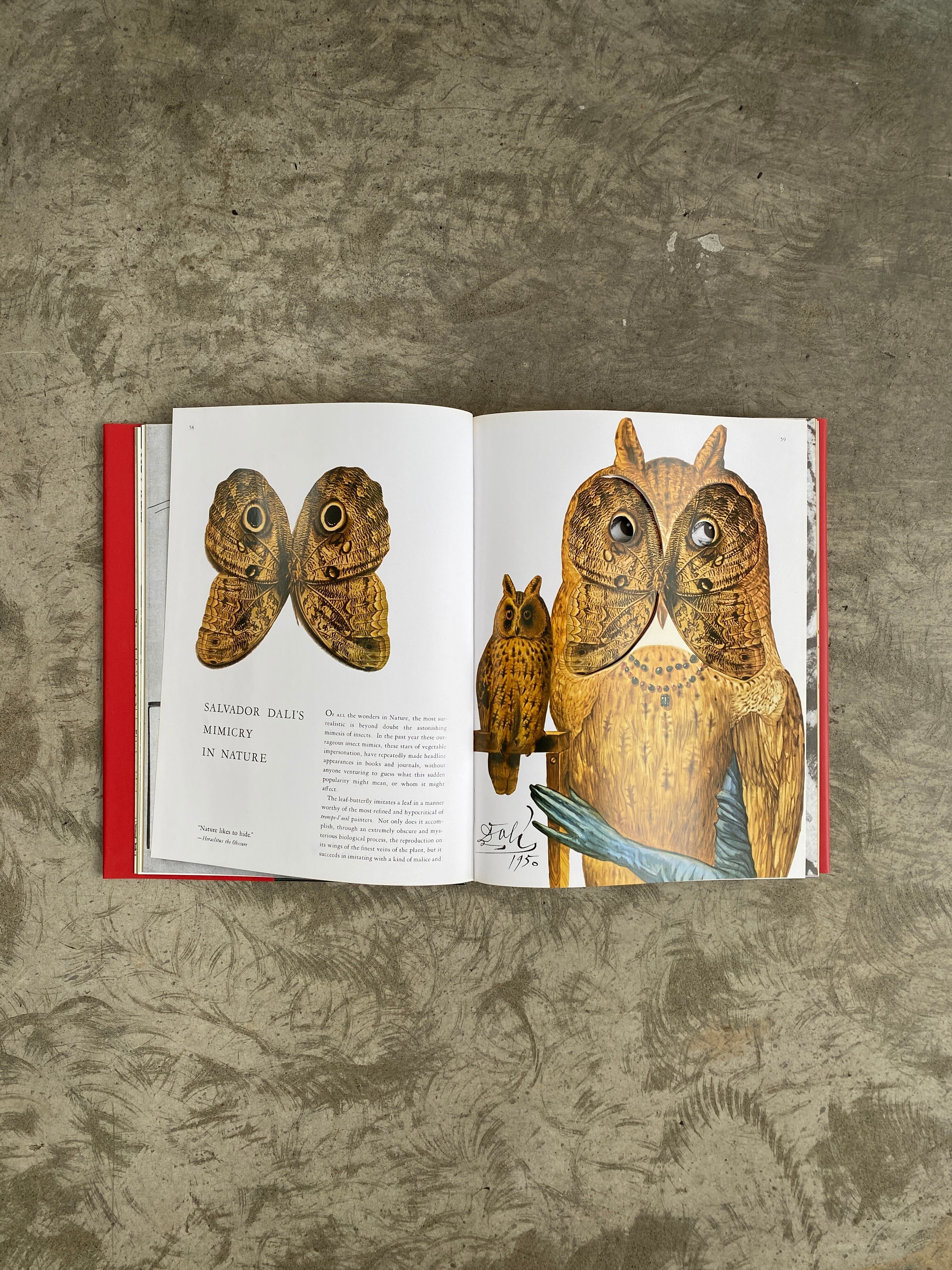 The Best of Flair ベスト・オブ・フレア 451.The Best of Flair | 帽子堂