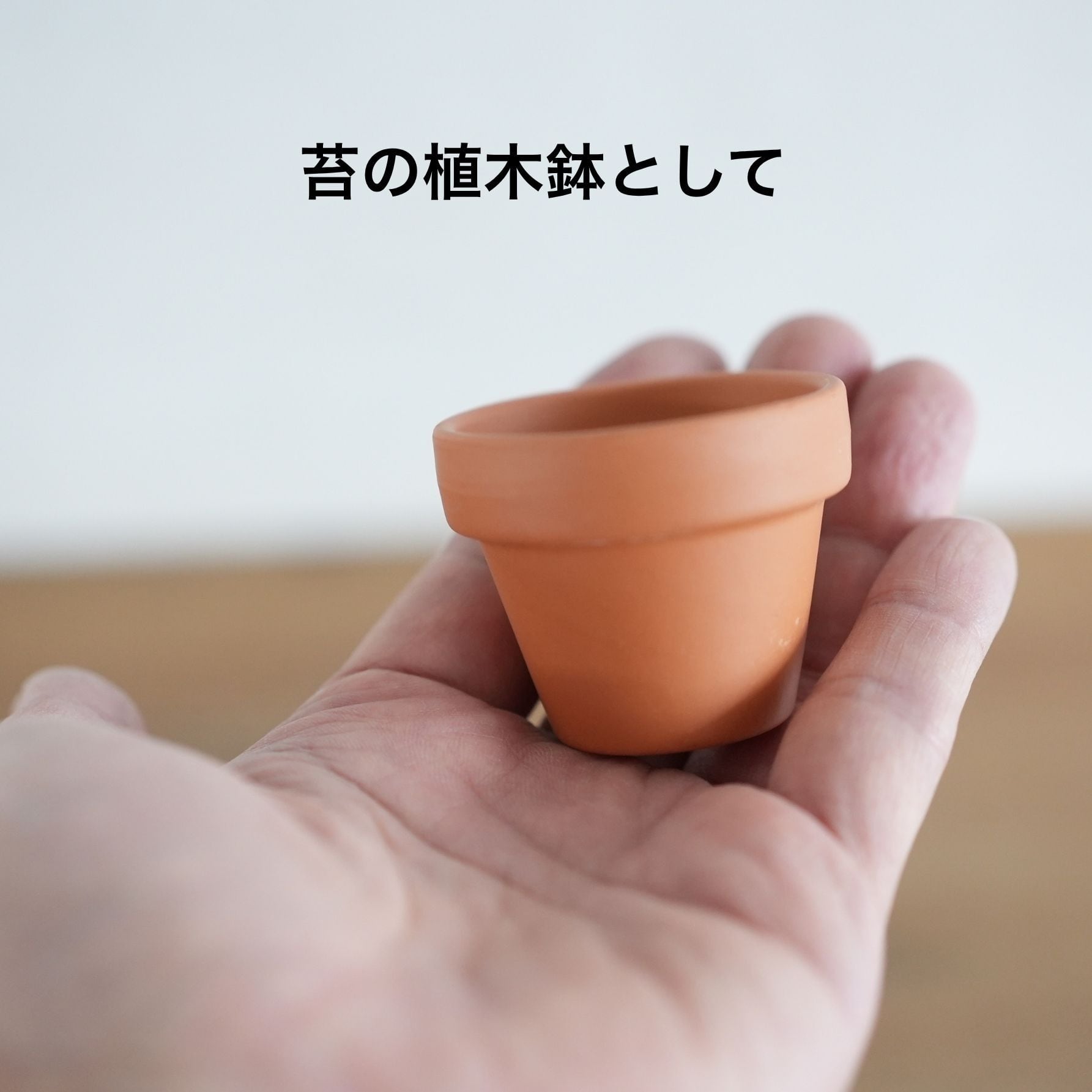 小さな植木鉢【5個セット】 | 苔テラリウム専門ショップ道草