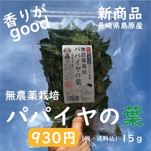 【長崎島原産】無農薬栽培 パパイヤの葉 15g（税・送料込）