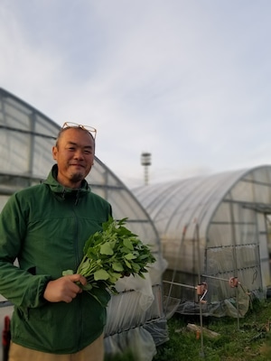 定期便　旬の川辺農園おまかせアジア野菜＆ハーブセット