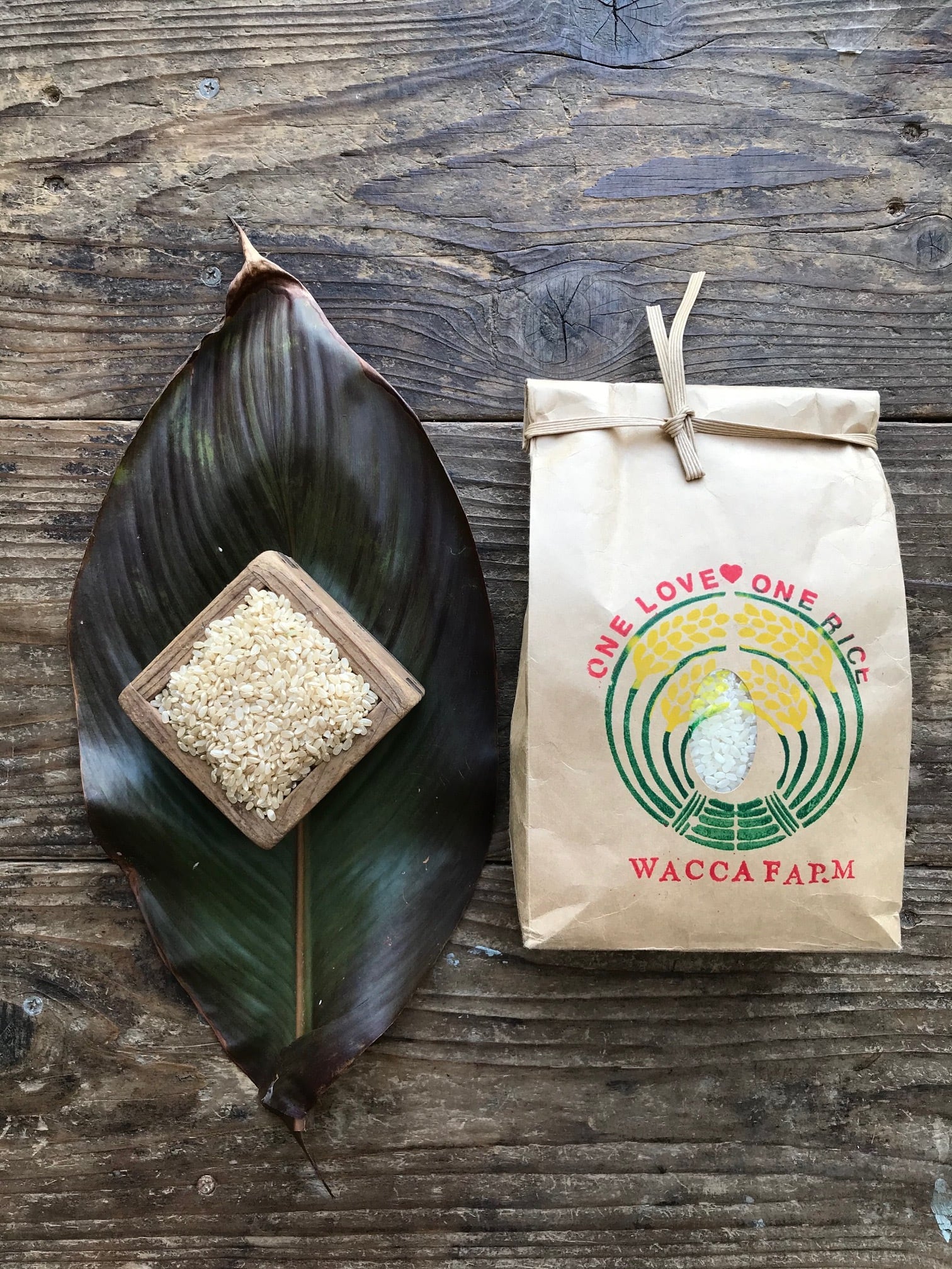 ∞毎月定期∞2025年産 自然栽培米 5kg（朝日米、waccaキヌムスメ