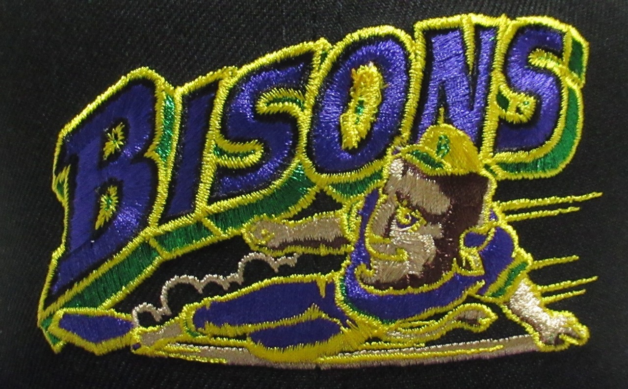 NEW ERA 59fifty Buffalo Bisons　バッファロー・バイソンズ 　Black×Purple