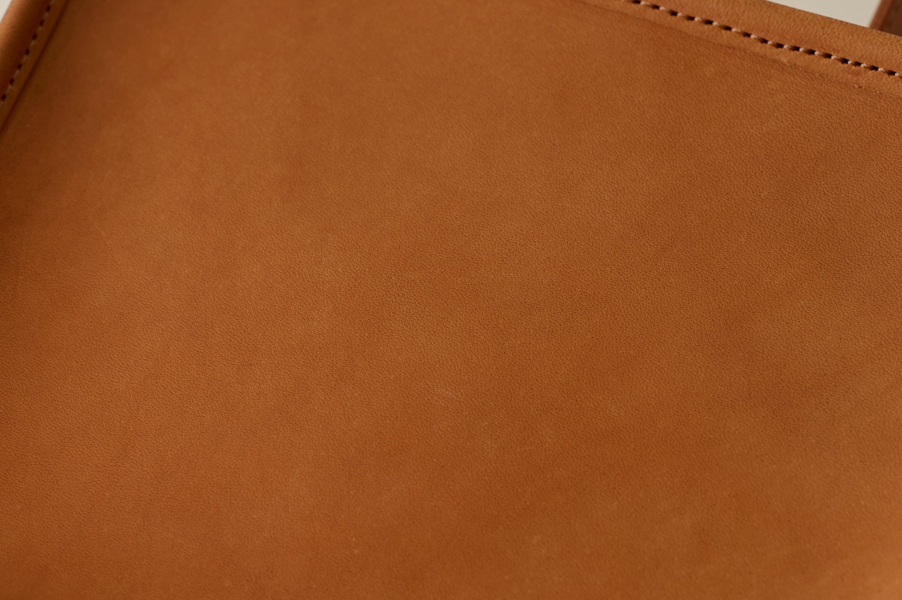 LIMITED】Camel Leather Mini Book Bag -EARTH LEATHER- | LIFESTYLIST