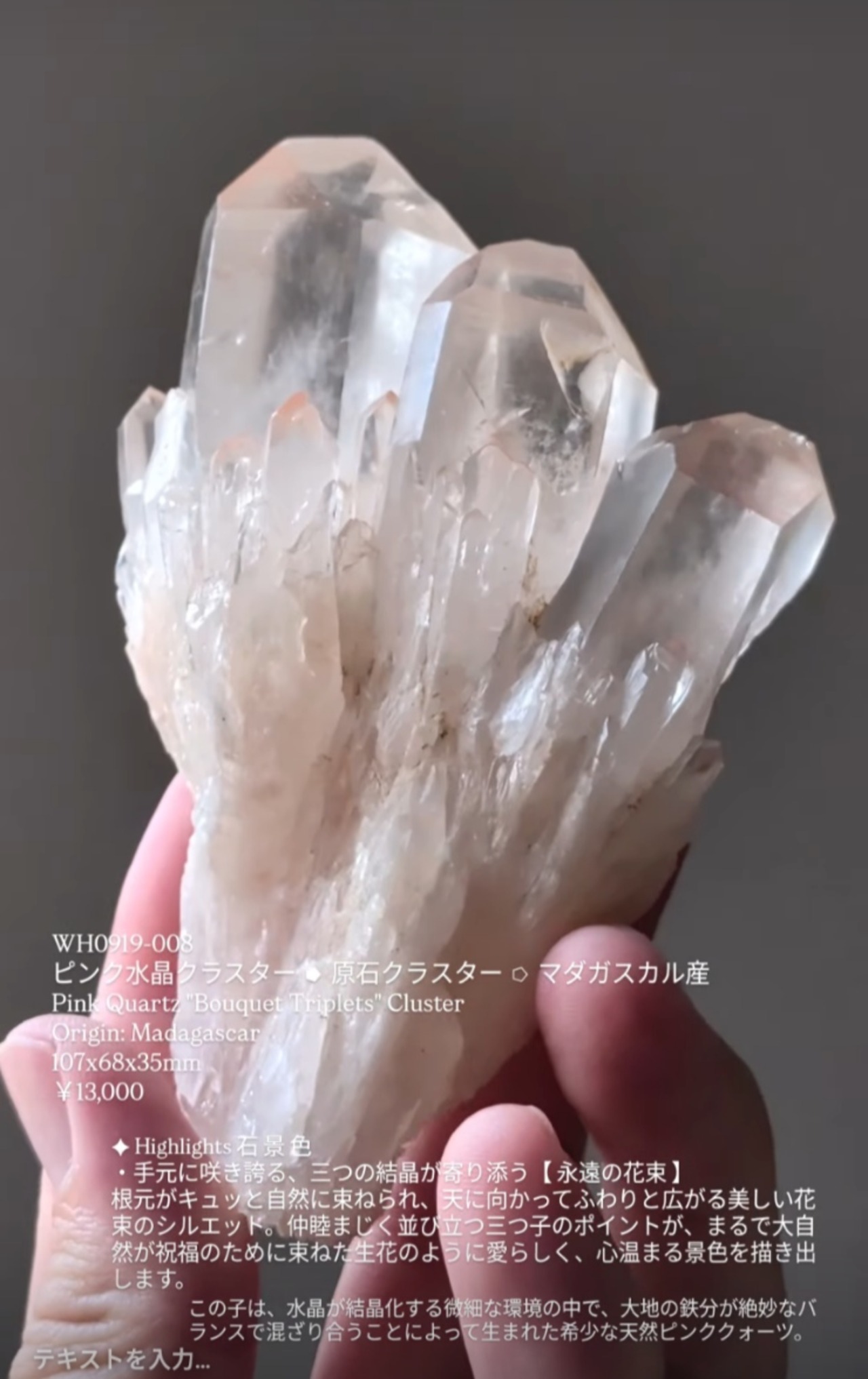 ⭔ お客様専用ページ ✦ uy__o18