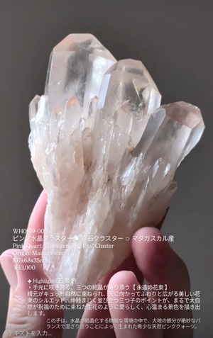 ⭔ お客様専用ページ ✦ uy__o18