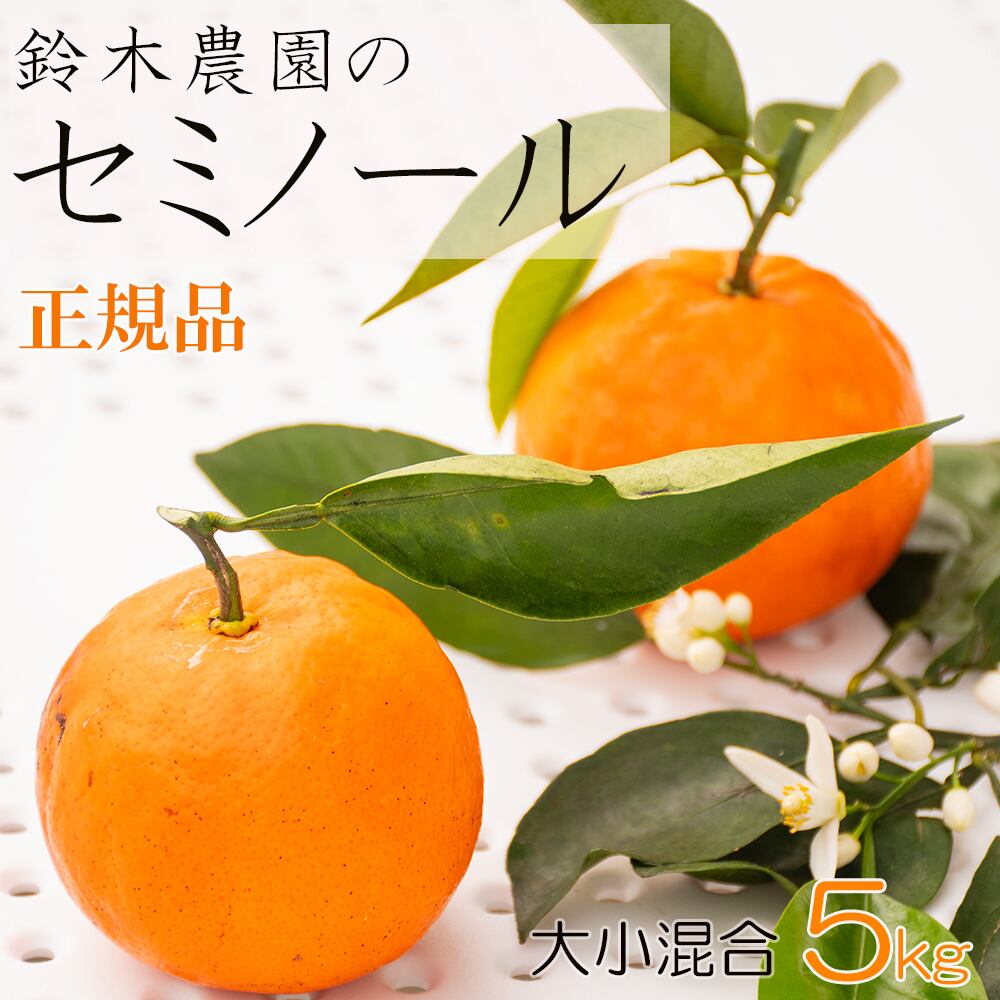 蔵出しみかん通販｜昔ながらのみかん 鈴木農園