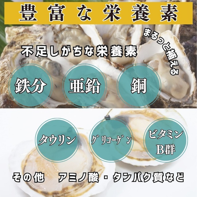 【手軽に栄養補給】うま味パウダー　牡蠣と帆立【ボトルタイプ】