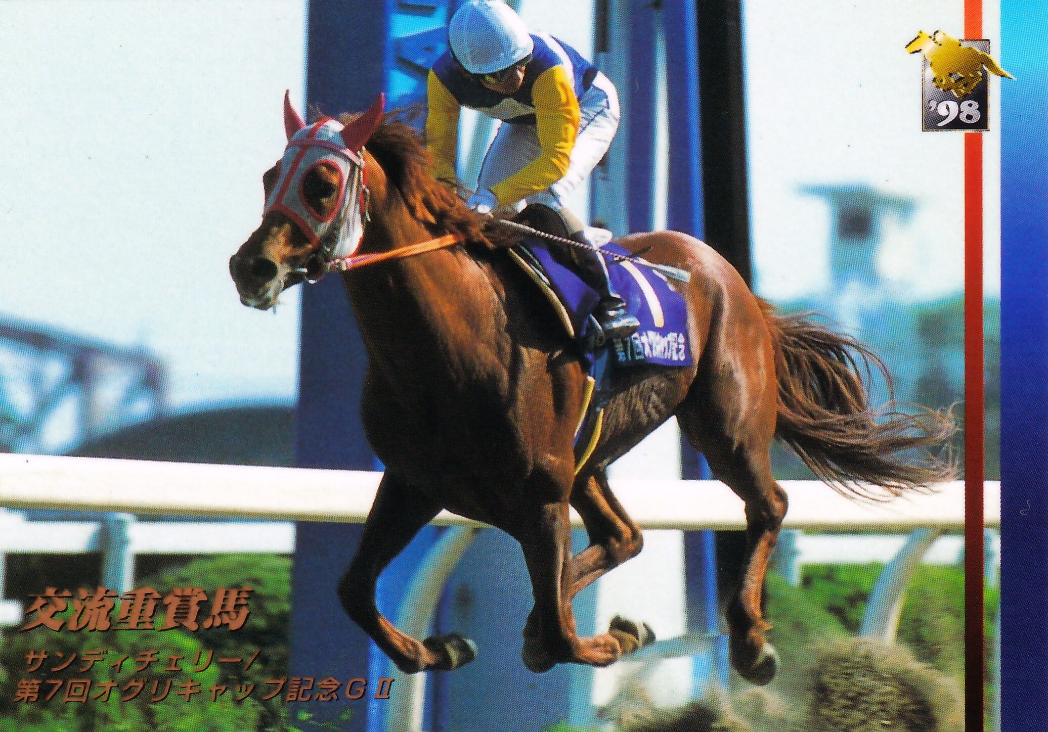 サンディチェリー：第7回 オグリキャップ記念「サラブレッドカード 98