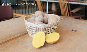【越冬 インカのめざめ】北海道十勝《森田農園産》3kg