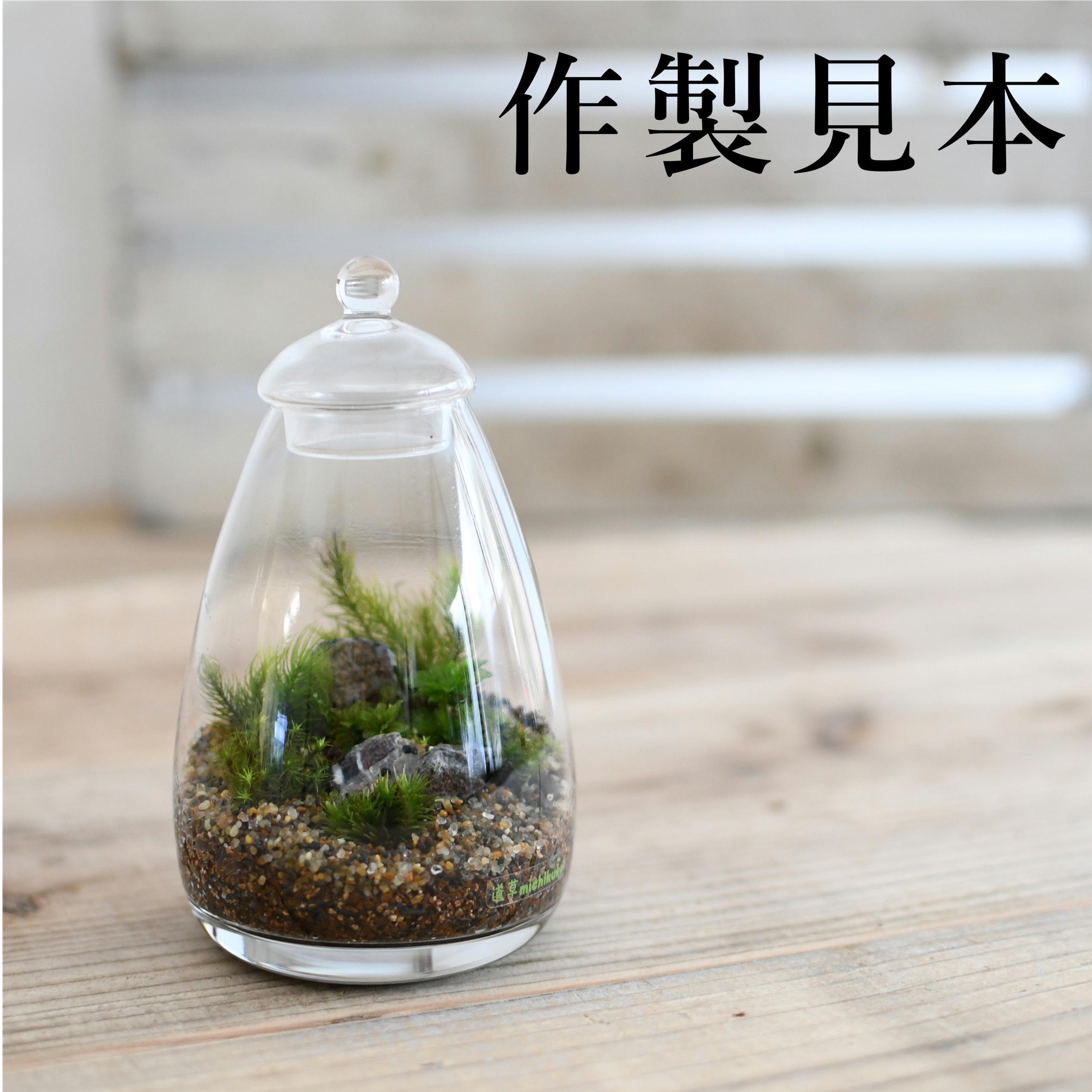 ガラス容器】たまご瓶（80xh130mm） | 苔テラリウム専門ショップ道草