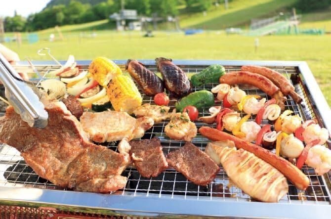 半端な数なので 特価お譲りします 使い捨て BBQ網 60×40cm 42枚 在庫処分】使い捨て コーナン オリジナル 10枚組 BBQ 焼き網 替え網