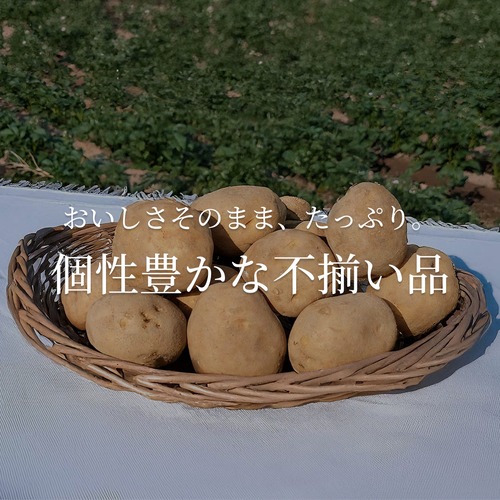 【訳あり】ニセコ産 じゃがいも 選べる3品種 約4.5kg (サイズ混合) 【訳あり】ニセコ産 じゃがいも 選べる3品種 約4.5kg (サイズ混合)